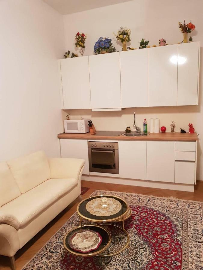 Vienna- Luxury Appartement ภายนอก รูปภาพ
